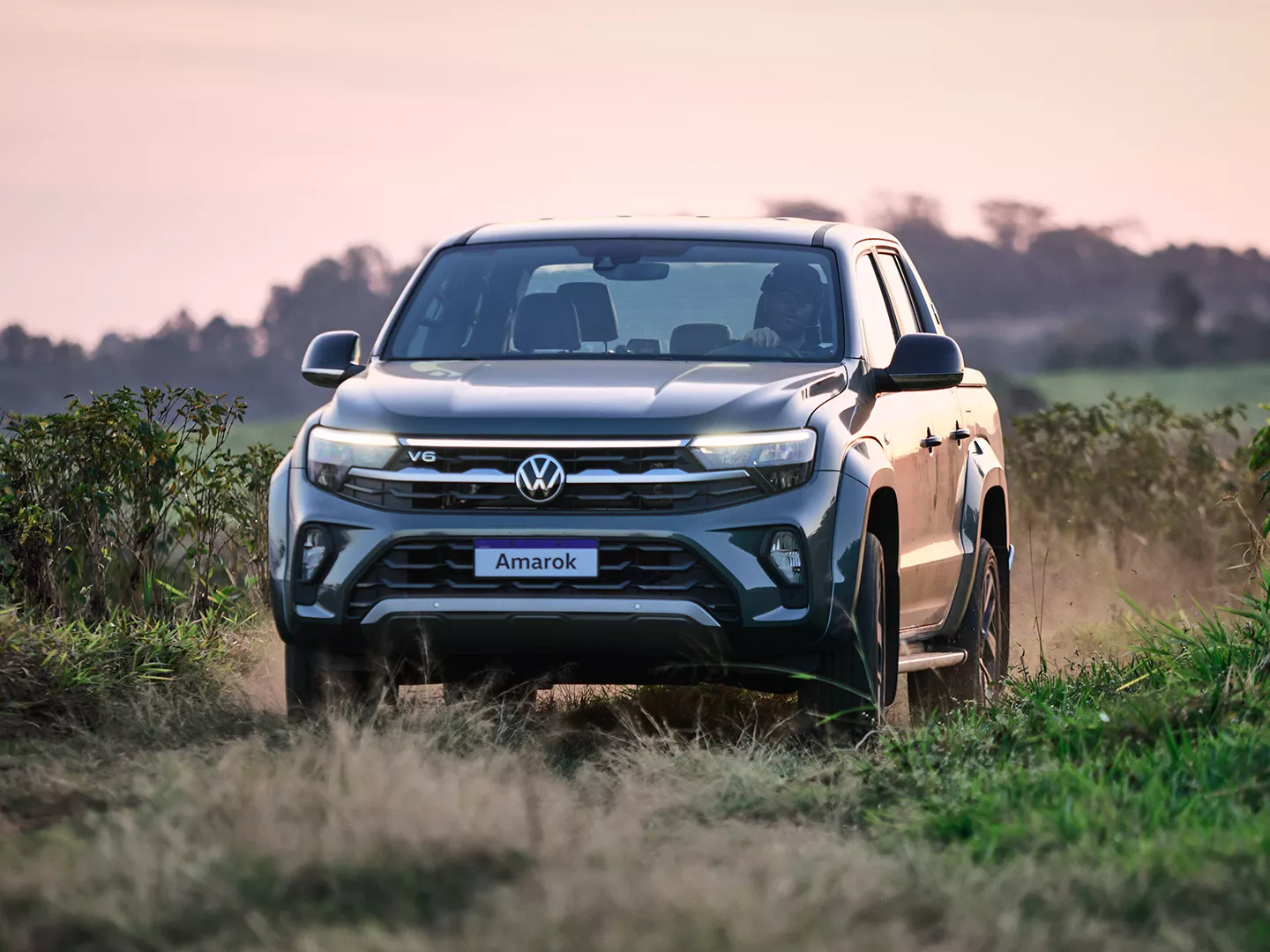 Amarok de frente