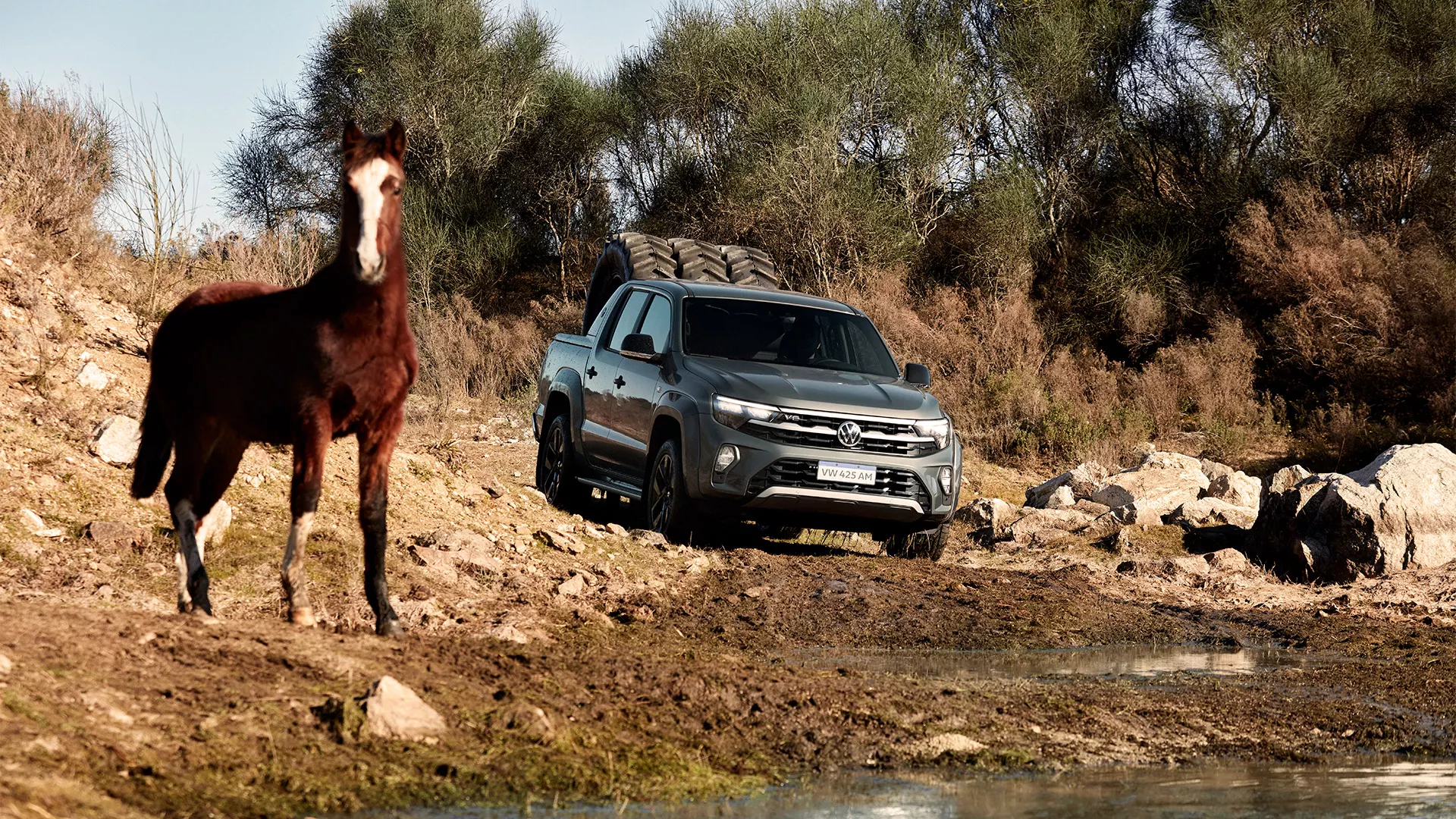 Amarok de frente transportando carga